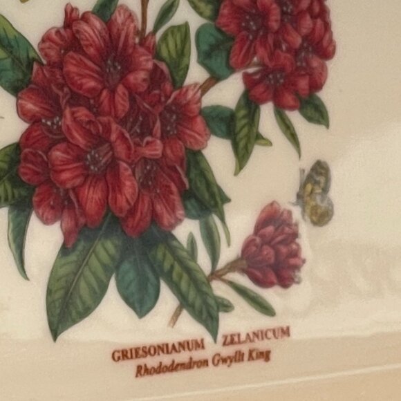 Botanical Garden Cranberry Dish with Slotted Spoon, 2-Piece Set-NEW - Picture 12 of 15